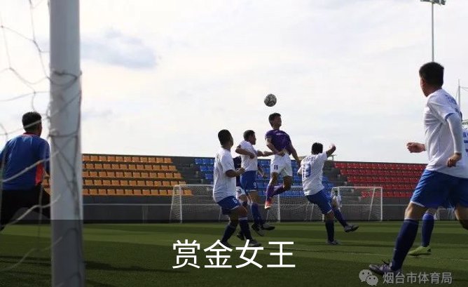赏金女王简介